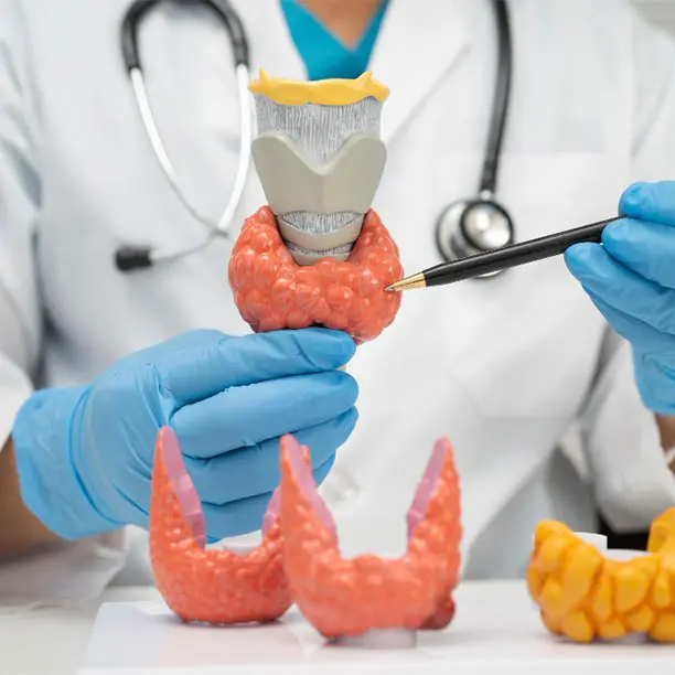 Endocrine Surgery