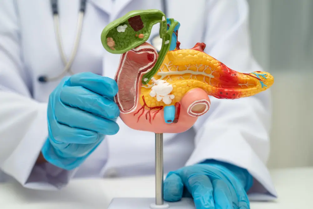 A New Way to Predict Colorectal Cancer Outcomes: Understanding the Immunoscore