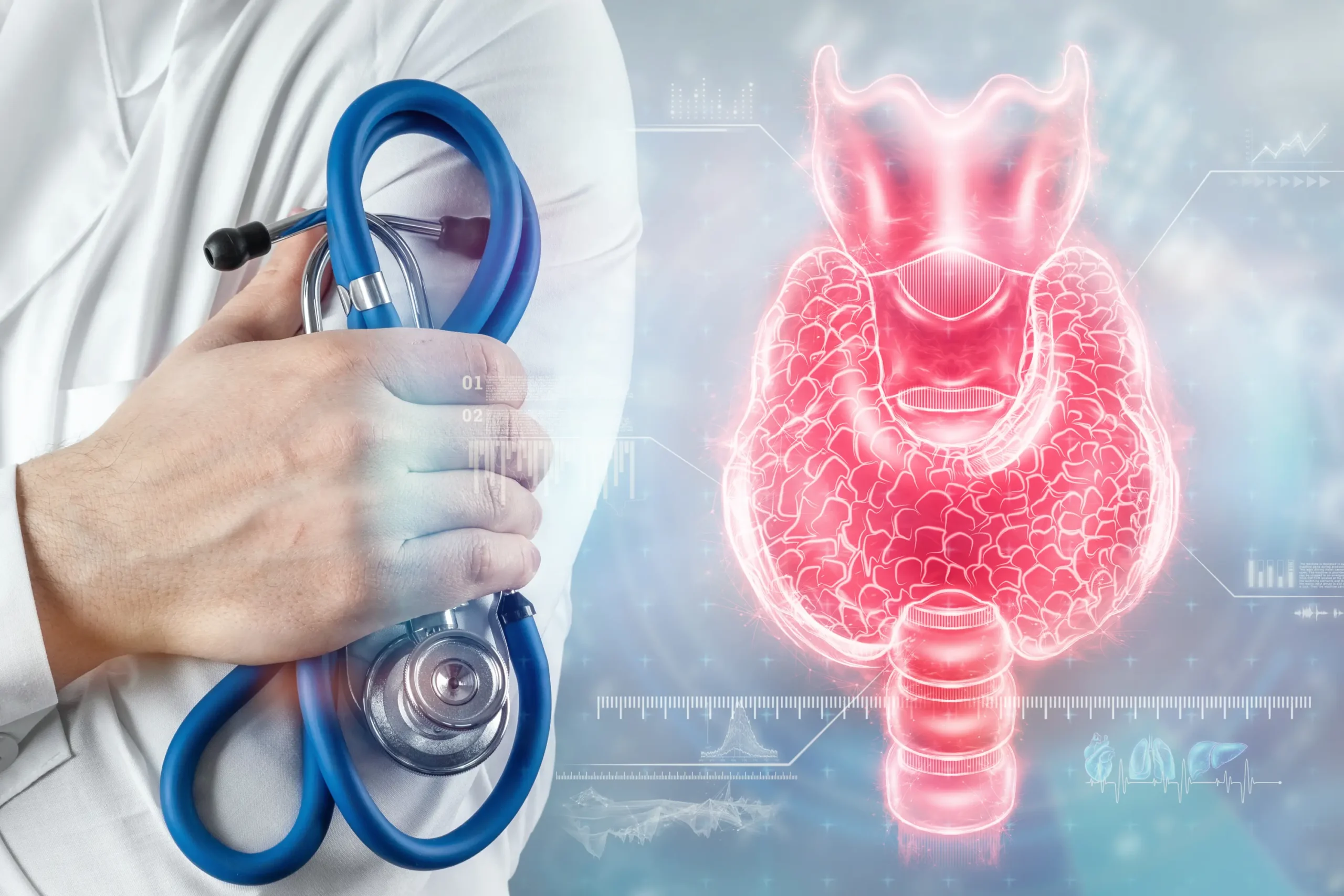Thyroid gland illustration beside a physician